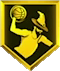 Aerial Wizard Gold