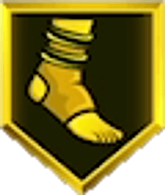 Ankle Braces Gold badge icon