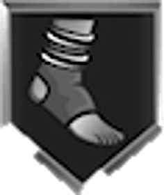 Ankle Braces Silver badge icon