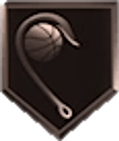 Hook Specialist Bronze badge icon