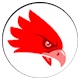 Hawk takeover icon